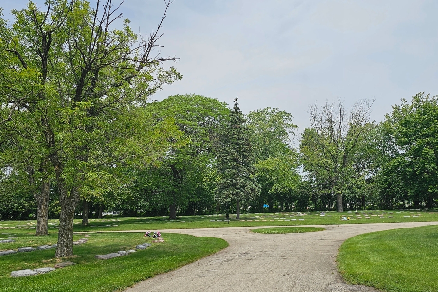 cemetery tree groundskeeping Chicago  - Landscaping