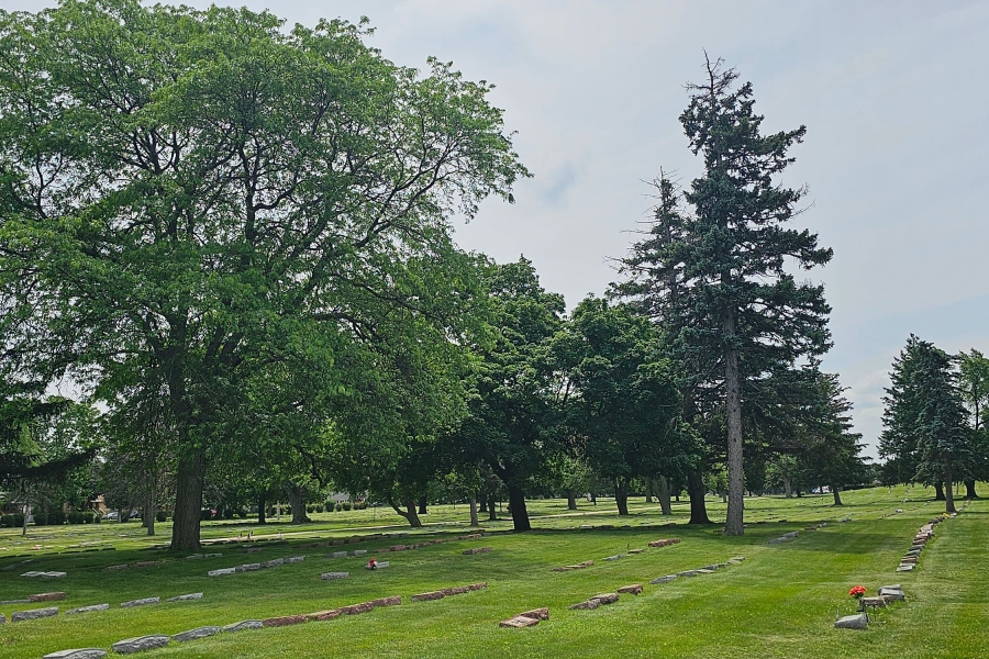 cemetery tree landscape management Chicago  - Landscaping
