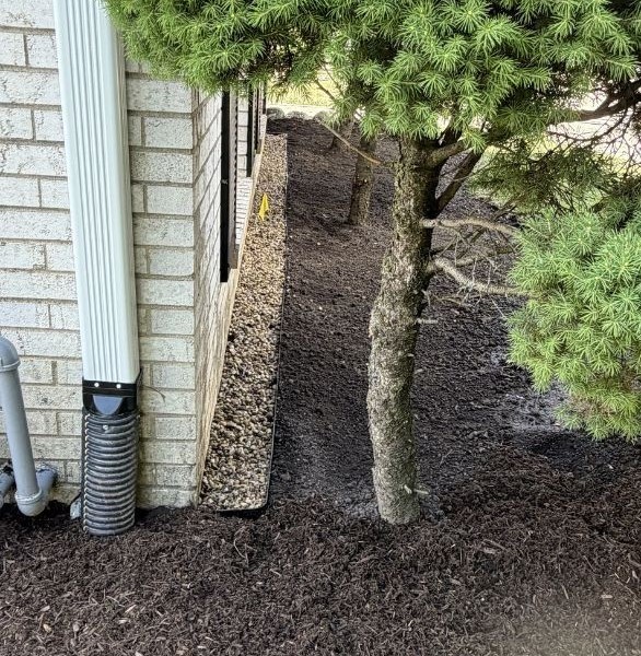 Backyard Drainage in Winnetka - Lanscaping