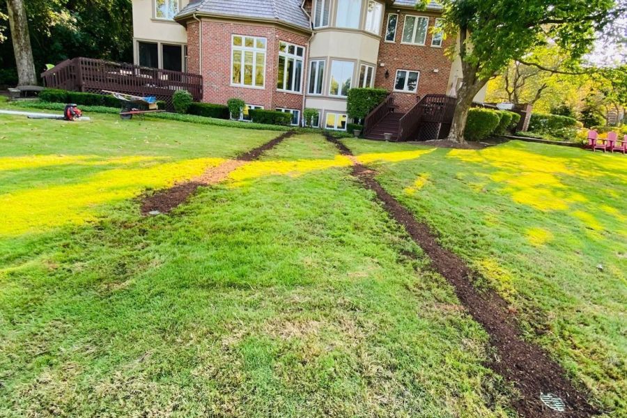 Drainage Downspout Extensions  / Northfield - Landscaping