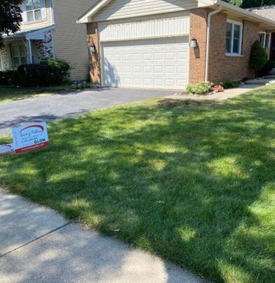 Grading drainage in Arlington Heights - Lanscaping