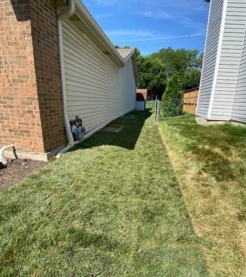 Grading drainage in Arlington Heights - Lanscaping