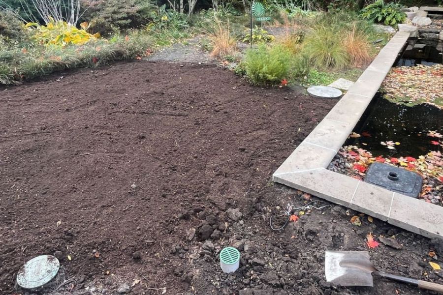 Kenilworth backyard drainage - Landscaping