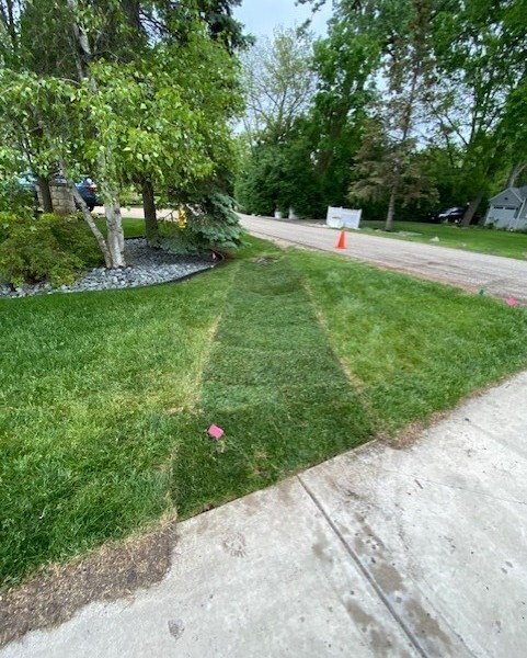 Drainage Grading / Glenview  - Landscaping