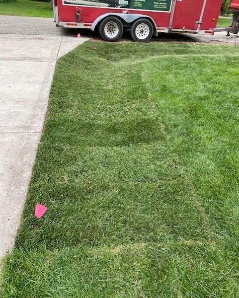 Drainage Grading / Glenview  - Landscaping