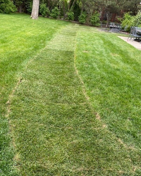 Drainage Grading / Glenview  - Landscaping