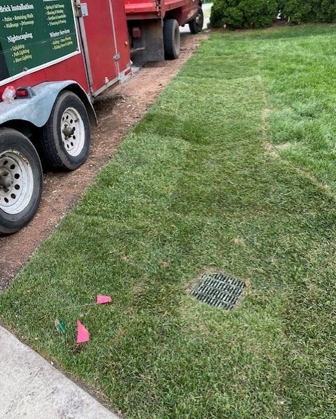 Drainage Grading / Glenview  - Landscaping