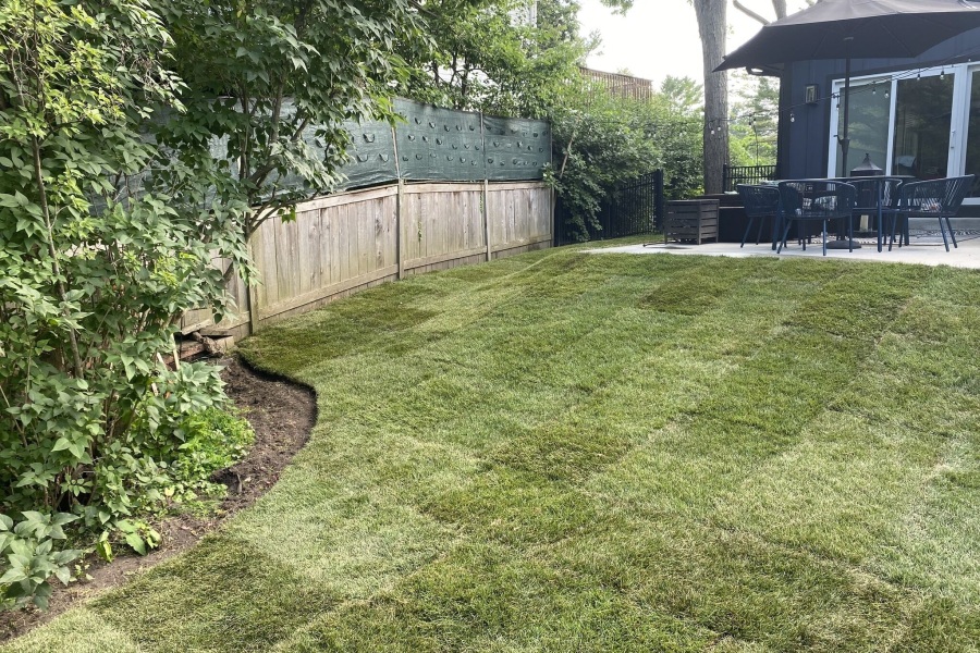 Drainage Grading  / Glenview  - Landscaping