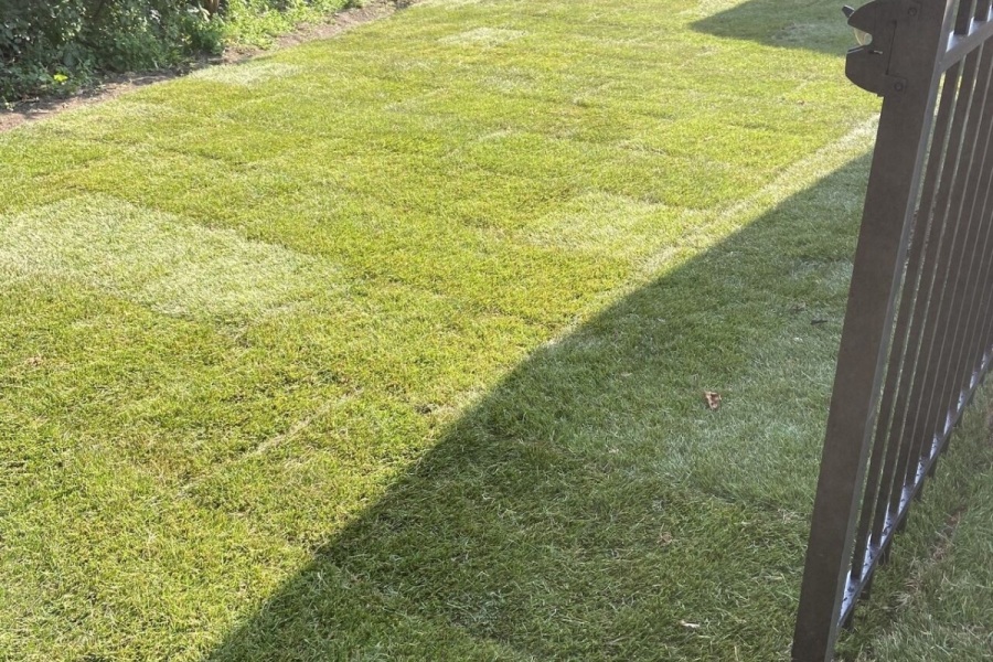 Drainage Grading  - Landscaping