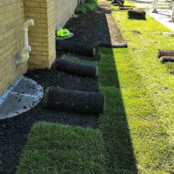 Drainage and Grading in Higland Park - Lanscaping