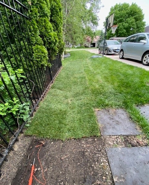 Drainage / Glenview  - Landscaping
