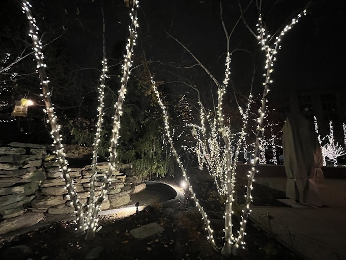 Holiday Decor lights Rosemont - Landscaping