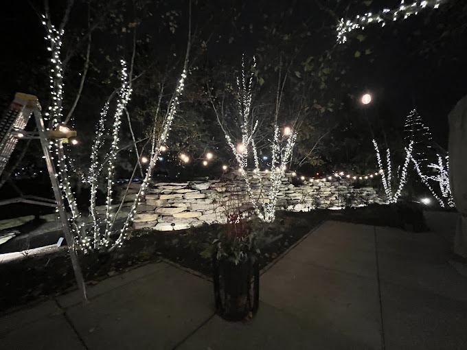 Holiday Decor lights Rosemont - Landscaping