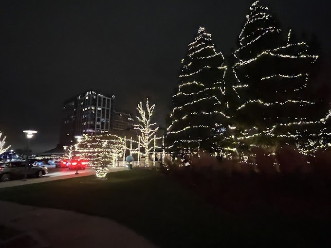 Holiday Decor lights Rosemont - Landscaping