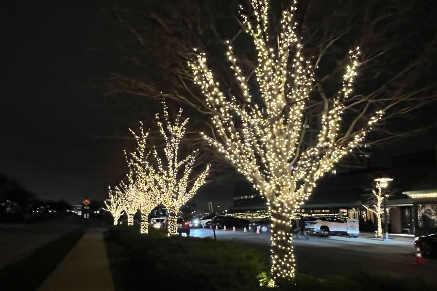 Holiday Decor Lights Holiday