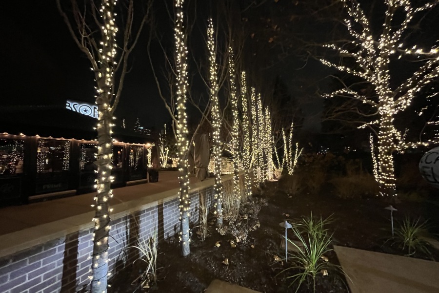Holiday Decor Lights Rosemont - Landscaping