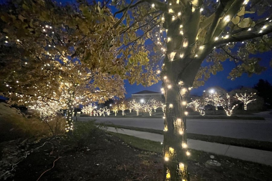 Holiday Decor Lights Holiday