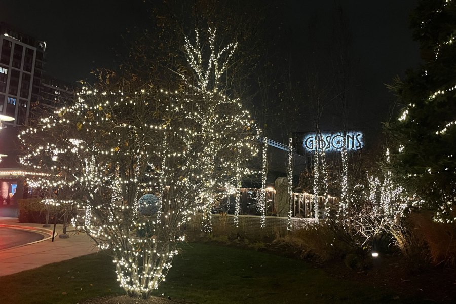 Holiday Decor Lights Holiday