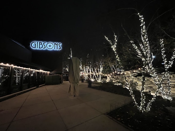 Holiday Decor Lights Rosemont - Landscaping