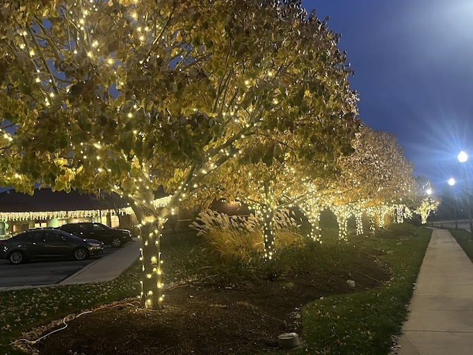 Holiday Decor Trees - Landscaping