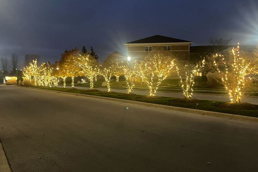 Holiday Decor Trees - Landscaping