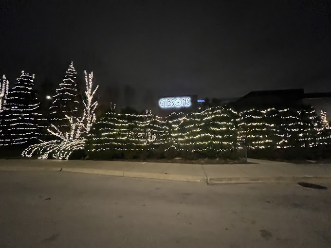 Holiday Decor Lights Rosemont - Landscaping