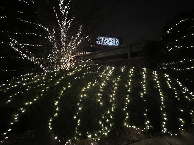 Holiday Decor Lights Rosemont - Landscaping