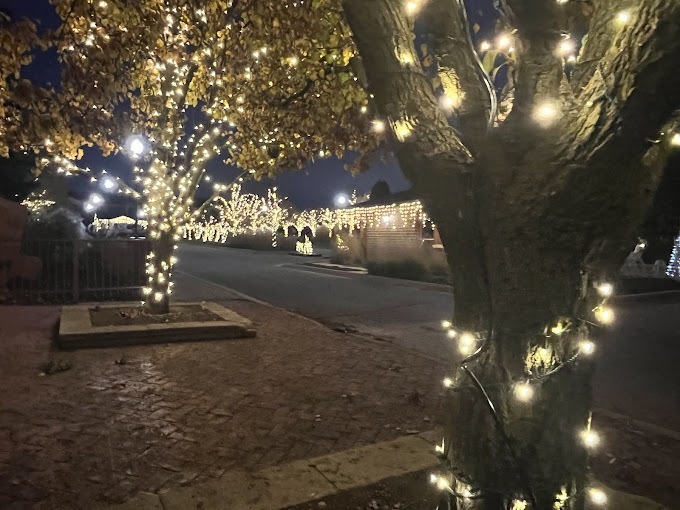 Holiday Decor lights Rosemont - Landscaping