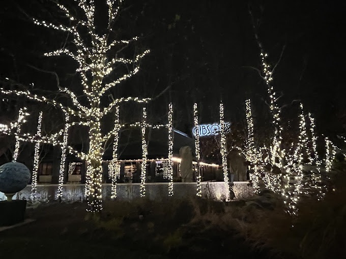 Holiday Decor Lights Rosemont - Landscaping