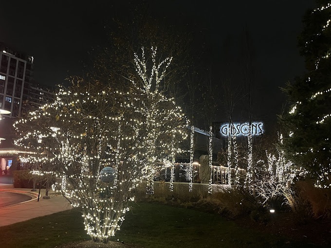 Holiday Decor Lights 
