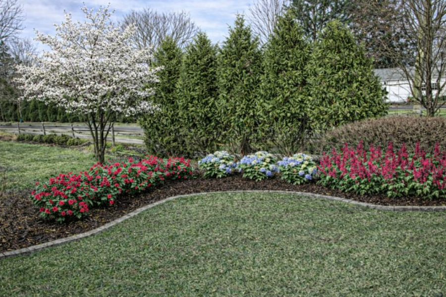 Design Render - Lanscaping