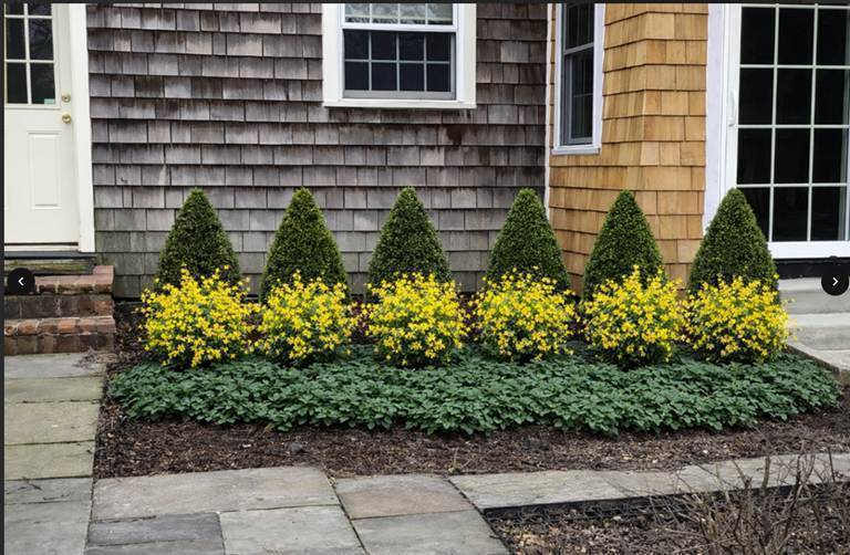 Design Render - Lanscaping