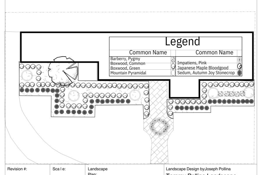 Design Sketch - Lanscaping
