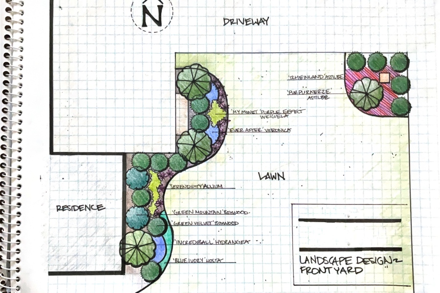 Design Sketch - Lanscaping
