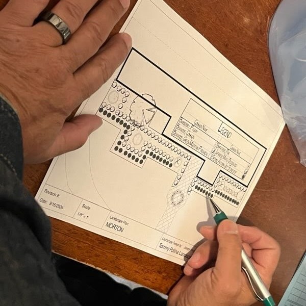 Landscape Design Sketch - Lanscaping