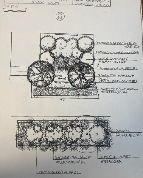 Landscape Design Sketch - Lanscaping