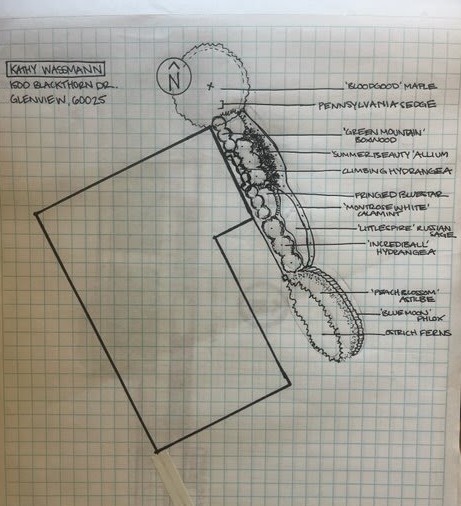 Landscape Design Sketch - Lanscaping
