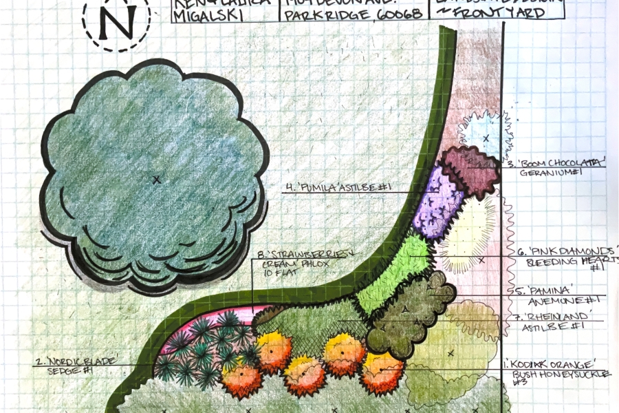 Landscape Design Sketch - Lanscaping