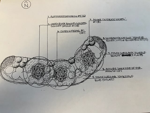 Landscape Design Sketch - Lanscaping