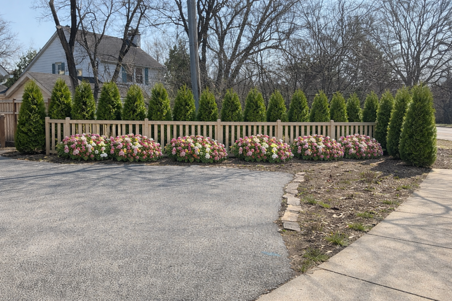 Design Render - Lanscaping