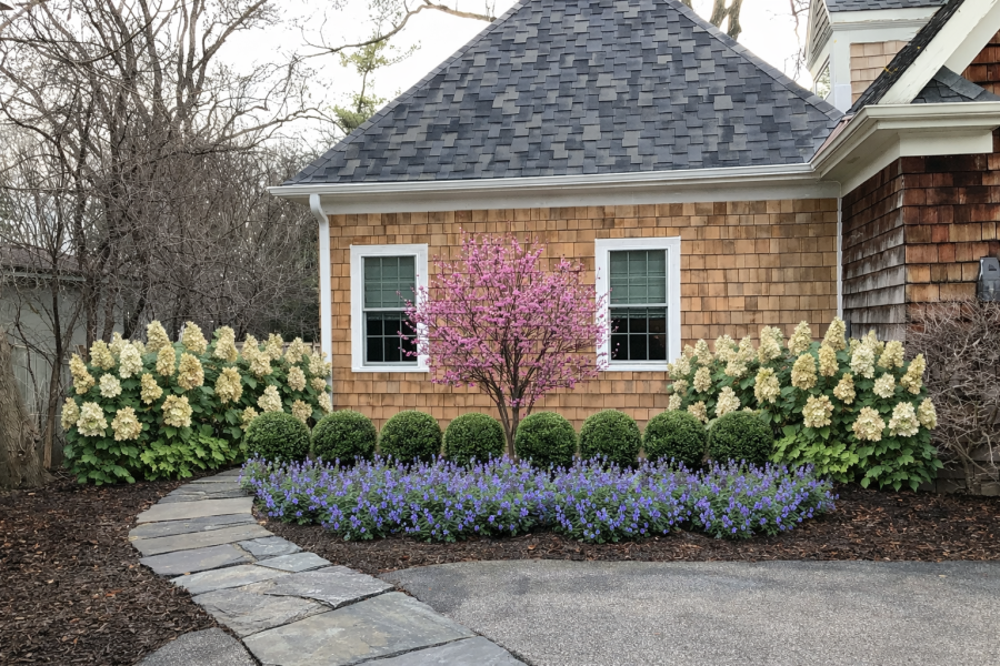 Design Render - Lanscaping