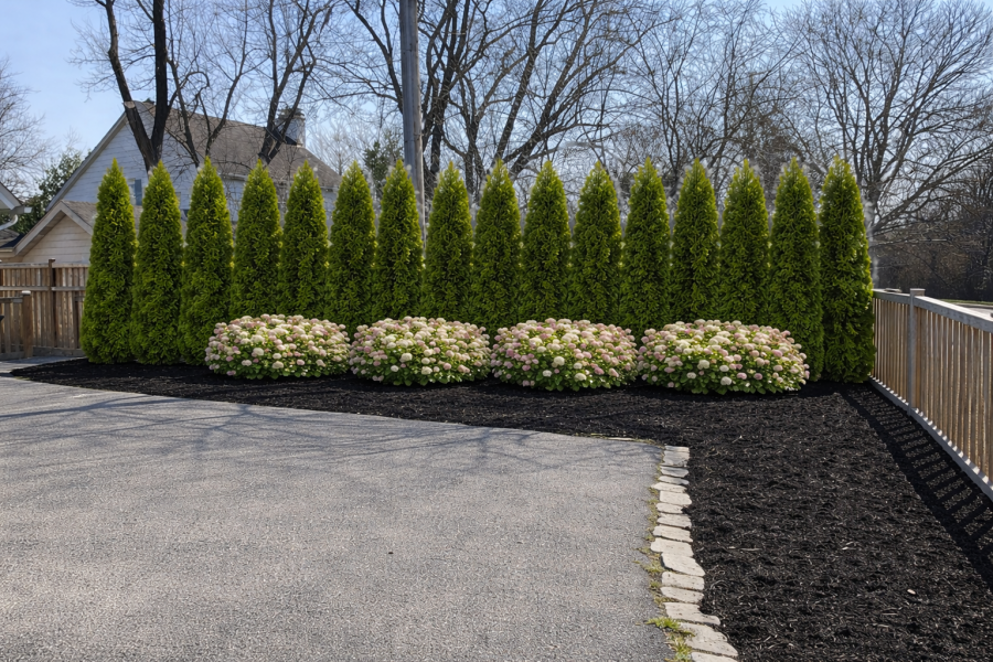 Design Render - Lanscaping