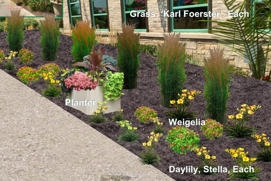 Design Render - Lanscaping