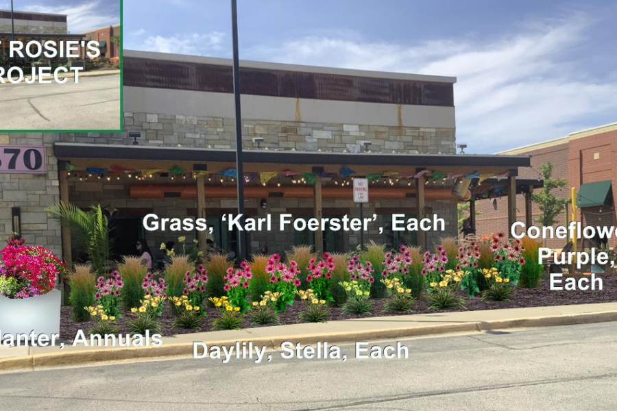 Design Render - Lanscaping