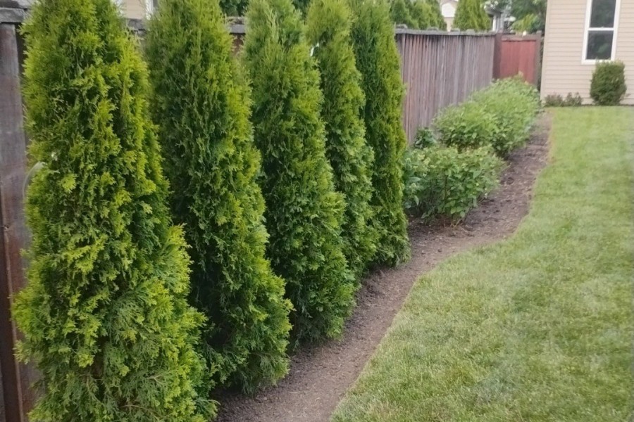 Landscape Installation in Wilmette - Lanscaping