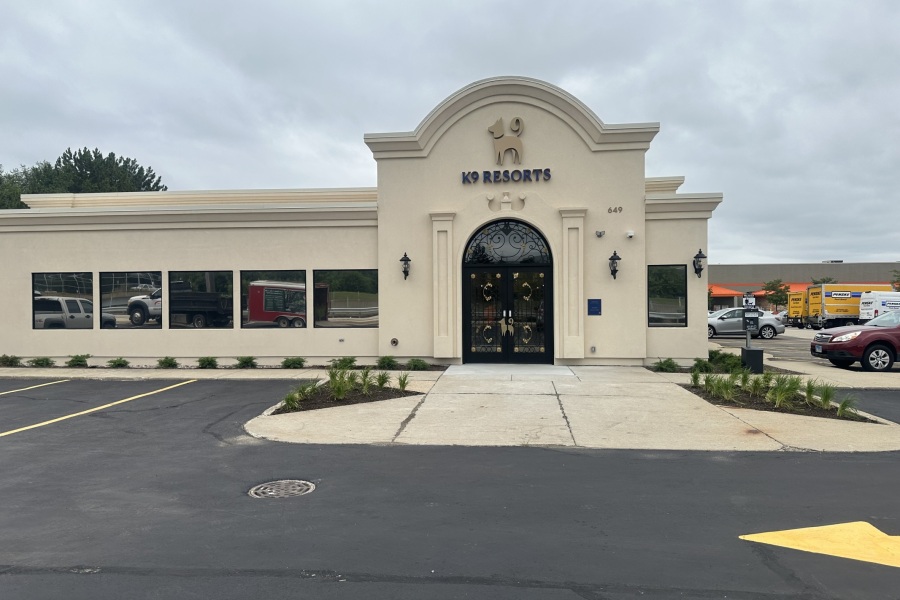 Commercial Daylily Installation and Maintenance Cleanup Deerfield - Landscaping