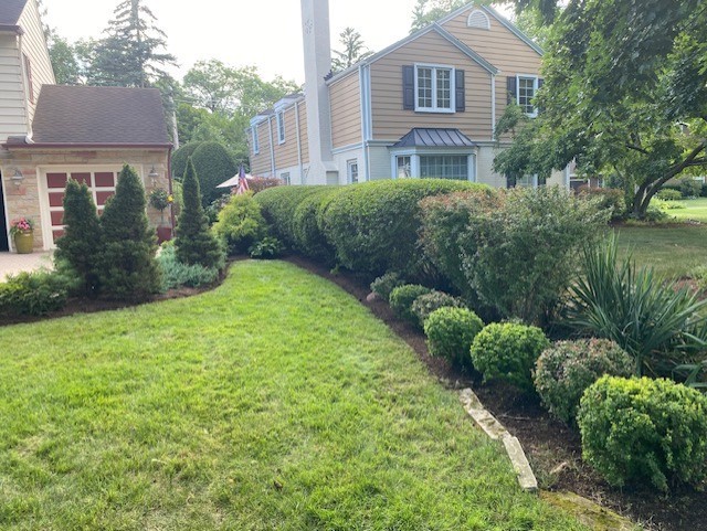 Maintenance Trimming Installation Wilmette - Landscaping