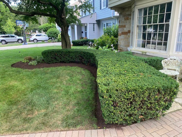 Maintenance Trimming Installation Wilmette - Landscaping