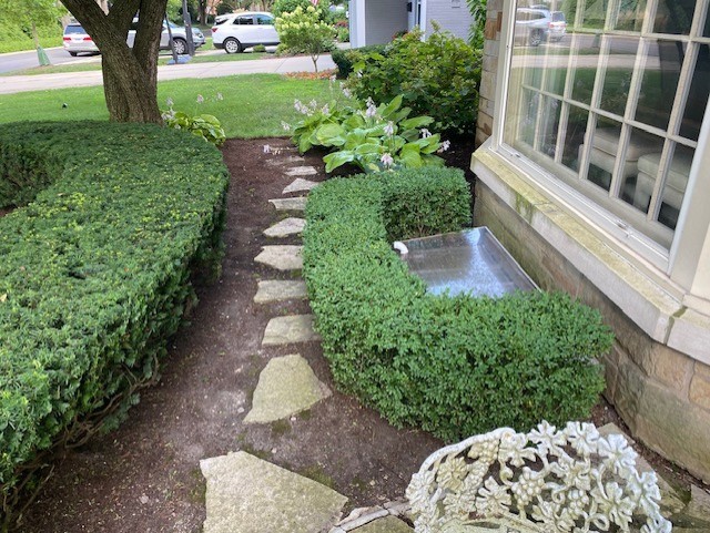 Maintenance Trimming Installation Wilmette - Landscaping
