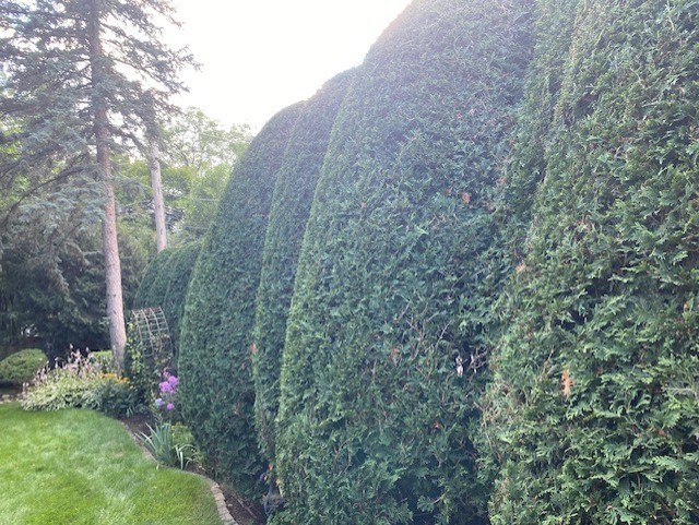 Maintenance Trimming Installation Wilmette - Landscaping